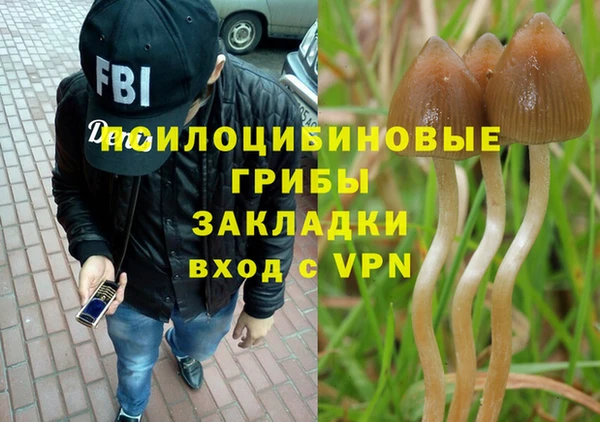 стаф Армянск