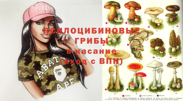 молекула духа Аркадак
