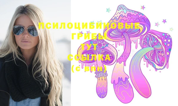 СК Арсеньев