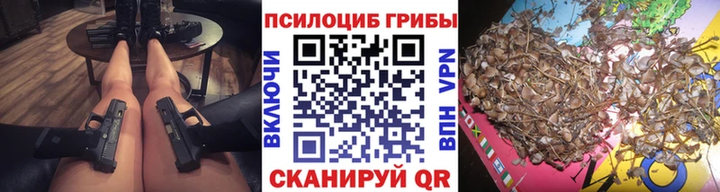 купить закладку  darknet официальный сайт  Псилоцибиновые грибы Psilocybine cubensis  Малоархангельск 